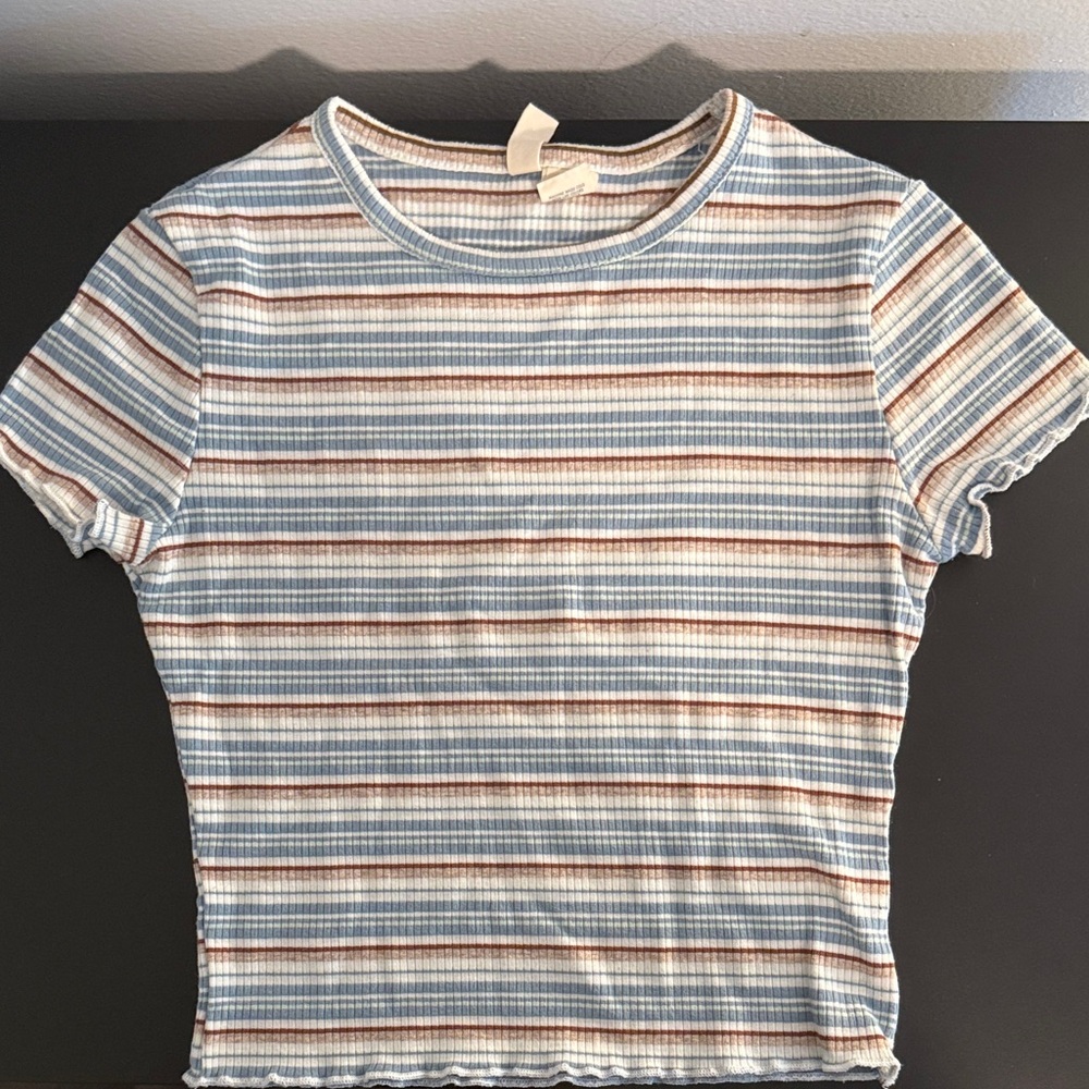 Sky and Sparrow Blue and Brown Striped Crop Top